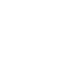 revision_autonomy
